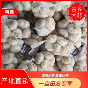 金乡诚信之缘，专注大蒜，紫皮太空大蒜，混级统货，欢迎光临