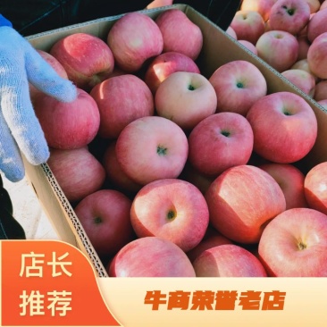 辽南红将军，大量上市，包你高兴而来满意而归，需要的联系我