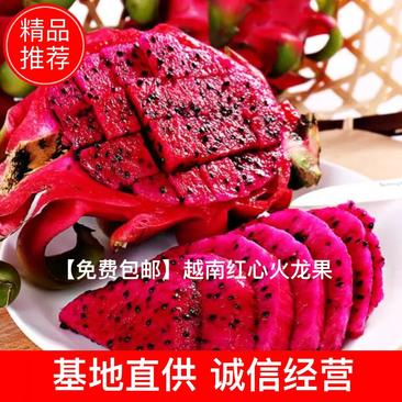 【免费包邮】越南红心火龙果进口新鲜水果当季大果整箱批发