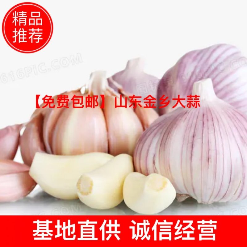 【免费包邮】山东金乡大蒜干蒜农户一手货源批发蒜