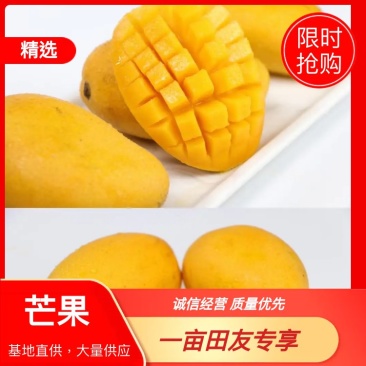 【助农义卖】保底冲量海南金芒果新鲜热带大青芒水果整箱代发
