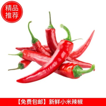 【助农义卖】包邮一件代发新鲜小米辣椒农家自产自销一手货源