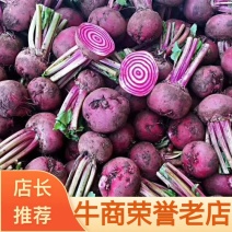 【精选】山东特菜条纹萝卜酒店专用品种齐全常年批发！