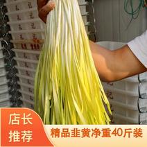 精品韭黄净重40斤装二茬50~60公分，质量保证