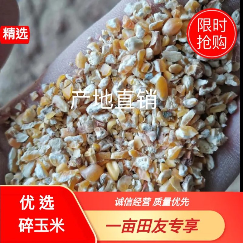碎玉米下脚料无土无杂质无霉变产地直销适鸡鸭鹅牛羊使用