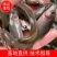 出售大量禾花鲤鱼苗，价格实惠欢迎各位新老顾客咨询购苗！