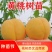 锦绣黄桃树苗黄金密1号4号保证质量基地直发签订合同