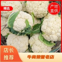 精品小米粒花菜，松花，有机花菜，小米粒乳白，基地直发