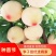 嫁接美人醉李子树苗，南方北方种植，特大早熟晚熟无核蜂糖