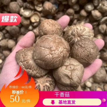 【优质面菇,产地直销】21年新货,货源充足,大量批发