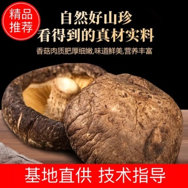 【产地直销、量大从优】剪脚货源充足大量批发,欢迎洽谈合作