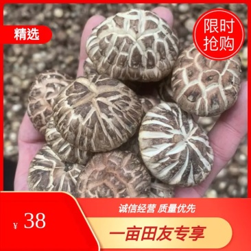 【精选】干香菇,茶花菇花菇肉厚产地直销,货源充足,