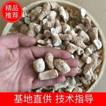 【强烈推荐】双剪脚香菇腿,无杂质,精品香菇腿