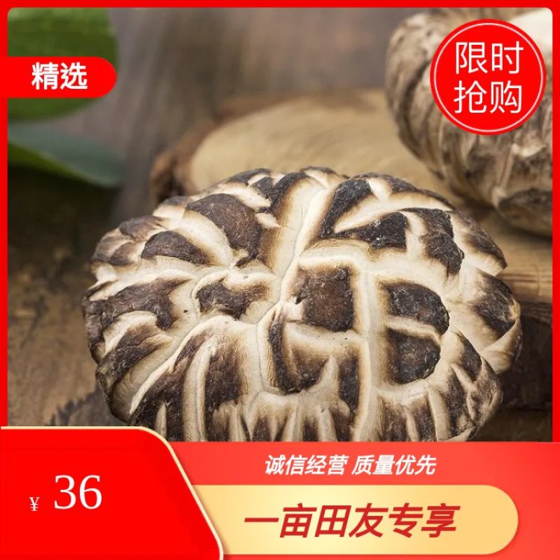 天然精选茶花菇，产地直销，优质货源，欢迎选购