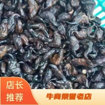 {优选}菱角精品自家生产一件代发可视频看货品质至上