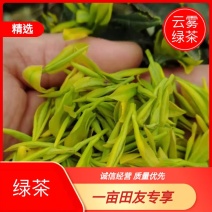 云雾绿茶，云南嫩芽高山茶叶，一级上市欢迎采购