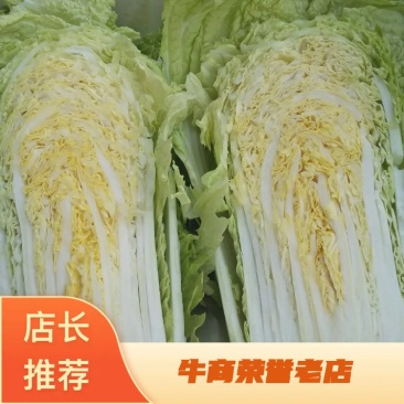【牛商推荐】北京三号山东大白菜产地直供
