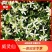 威灵仙，种植基地种植，可实地考察，欢迎采购