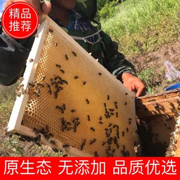 黑龙江蜂蜜东北特产可视频看货百花蜜土蜂蜜全国包邮