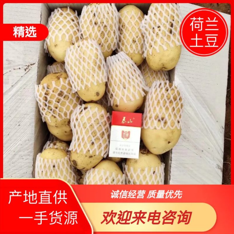 山东肥城大棚新土豆，上市供应，全国发货，价格低廉，保质量