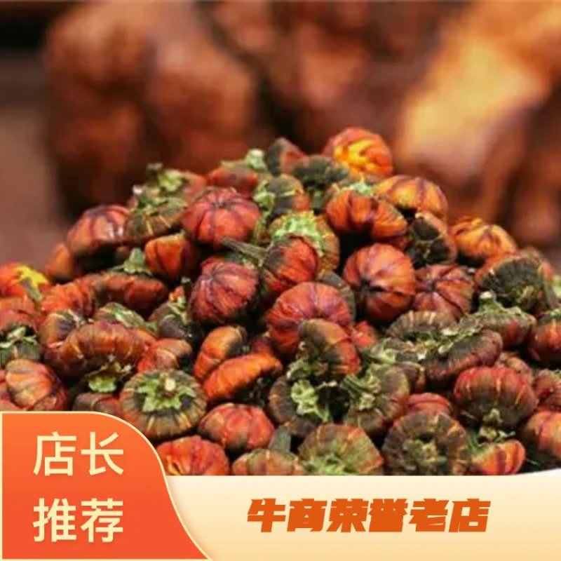 青藏高原昆仑山野生昆仑胎菊500g包邮一件代发