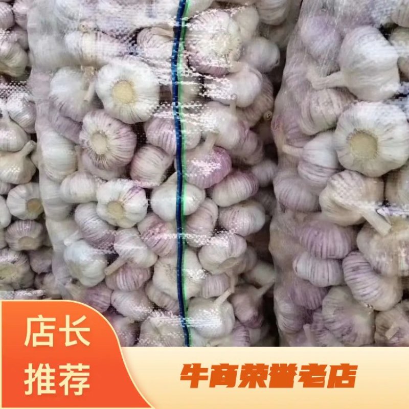 金乡太空蒜红皮红瓣专业代收储存冷库出租长年供应加工