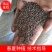 推荐日本紫苏种子紫苏种子批发河北单面紫苏种子发芽高