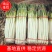 山东大葱铁杆大葱毛葱2cm左右30~40cm品种齐全