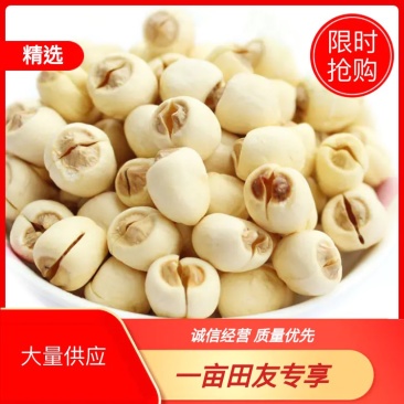 【红白莲子】无硫野生湘潭去芯莲子饱满均匀，粉糯，基地直发