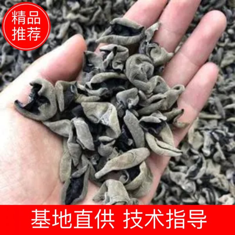 【特级黑木耳保质冲量】东北黑木耳特级肉厚无味产地直供批发