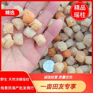 扇贝丁干贝瑶柱足干当季新货，淡干颗粒饱满一手货源