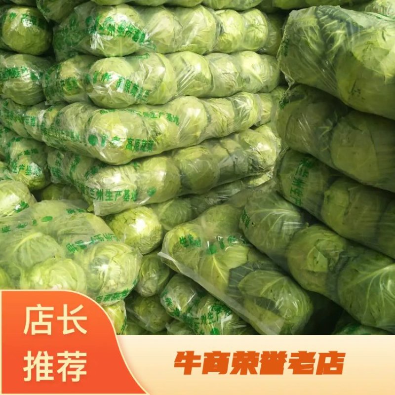 陕西甘蓝大量上市，货源稳定，干了二十多年了，诚信经营。