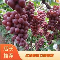 【葡萄】红提葡萄大量上市现货供应口感非常甜，欢迎