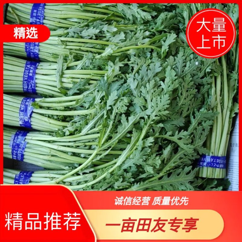 蒿子秆茼蒿蒿子杆大量上市！价格实惠！