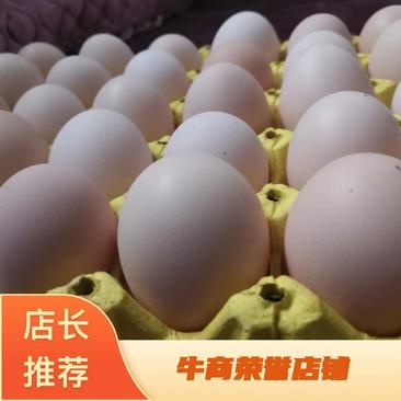 新鲜鸡蛋谷物喂养营养鸡蛋批发一件代发农家土鸡蛋