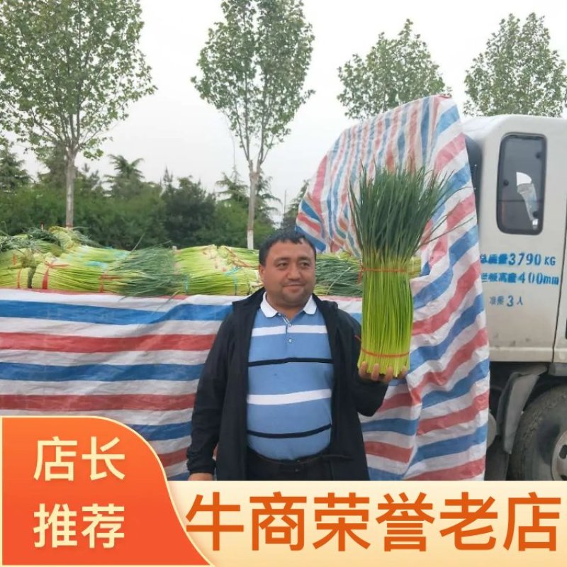 【推荐】中牟红帽蒜薹大量上市可视频看货支持全国发货！