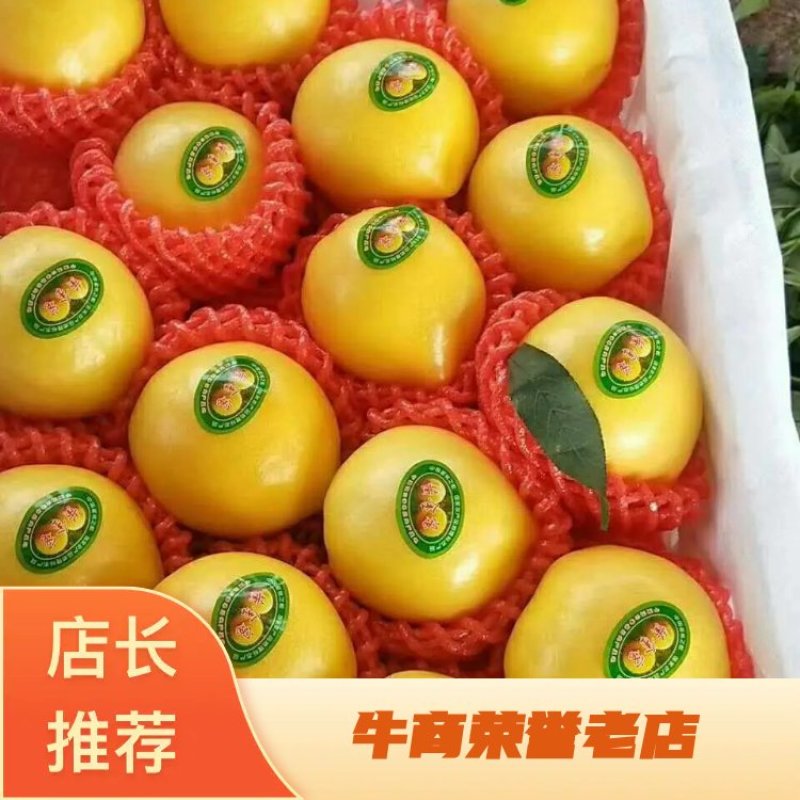 纸袋黄金桃产地大量上市，货源充足口感好价格合理