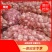 中牟紫皮蒜万亩基地货源充足紫皮蒜5cm~6cm干货