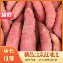 福建红薯六鳌红薯西瓜红地瓜【北京红地瓜】整车供应