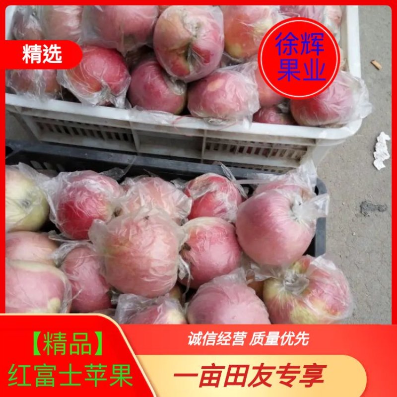 砀山红富士苹果色泽红艳脆甜，诚邀电商平台及市场商超