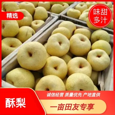 优质砀山酥梨，口感酥脆密甜正在热销中欢迎全国各地新老客户