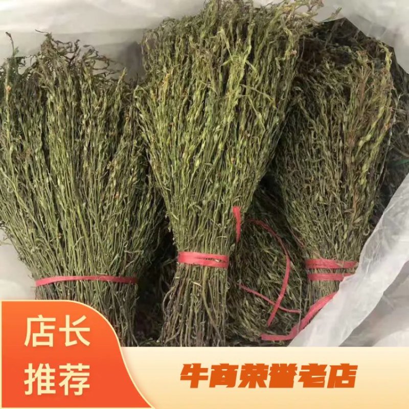 青绿独脚金20公分左右农户自采人工挑选一手货款