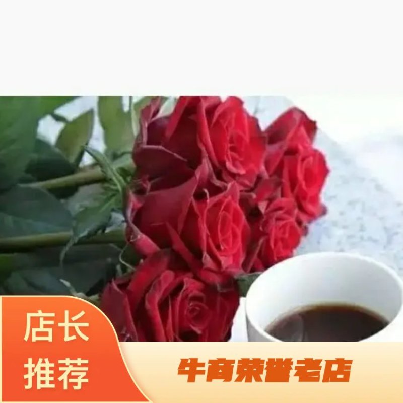 红色系列玫瑰小苗批发零售