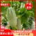 博洋61甜瓜，口感清脆甜爽，回味清香，产地直供，一手货源