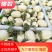甜瓜东方蜜甜瓜台州三门东方蜜1号甜瓜批发量大高品诚信经营