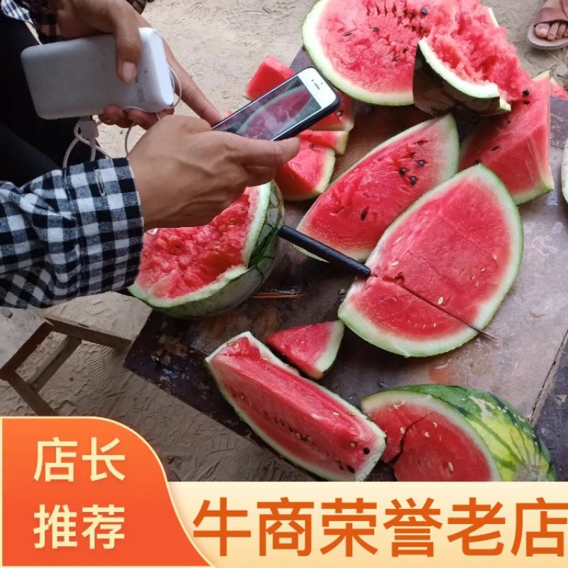 【优选】河南西瓜/精品美都/有籽/无籽/皮薄如纸瓤红似火