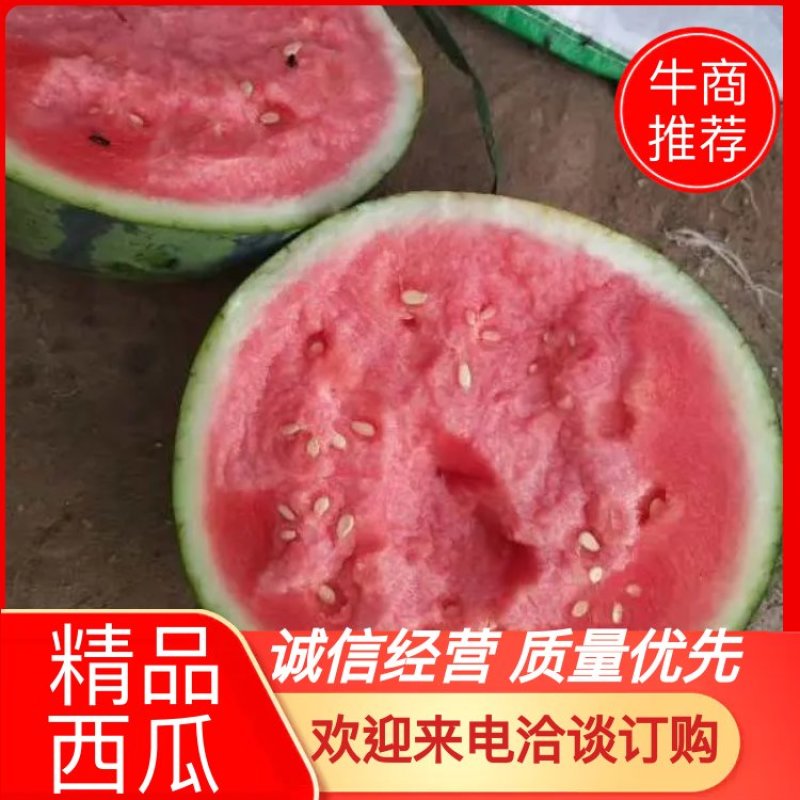 河南开封沙地美都西瓜诚信经营全国代发欢迎外地客商致电