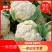 精品菜花小米花，有机花1.7-2.5斤左右，产地直供。