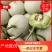 玉菇甜瓜冰清玉菇产地直供一手货源，大量现货