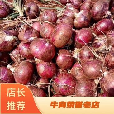 洋葱四川洋葱产地直销，一手货源，质量保证，全国发货